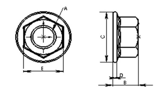 CK-FN Flange nut